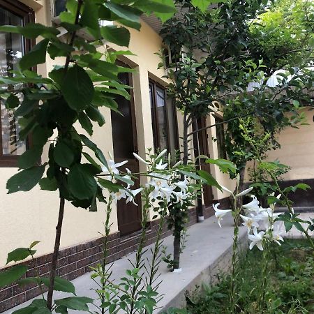 Дом Отель Бадамзар Tachkent Extérieur photo